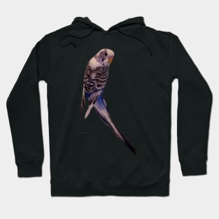 Mav My Dead Parakeet Hoodie